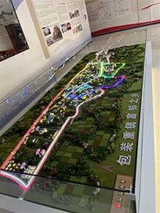 安徽雙港軟包小鎮規劃沙盤(pán)
