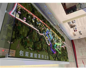 安徽雙港包裝小鎮